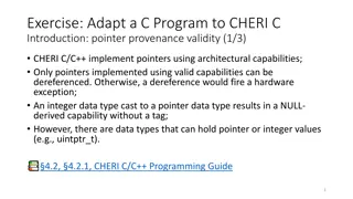 Adapt a C Program to CHERI.C Provenance Validity