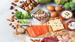 Proteins: Building Blocks and Culinary Applications