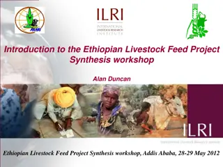 Ethiopian Livestock Feed Project Synthesis Workshop