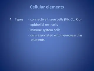 Cellular Elements and Functions in Connective Tissue Biology