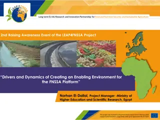 Creating an Enabling Environment for FNSSA Platform