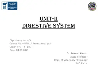 Digestive System