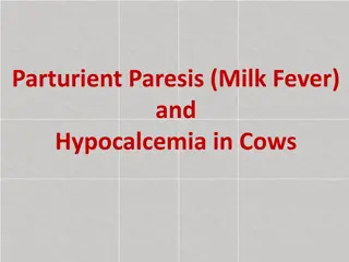 Parturient Paresis in Cows