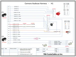 Connors Audesse Harness - Electrical Wiring Configuration