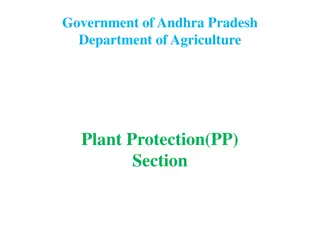 Plant Protection(PP) Section