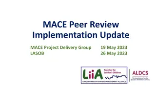 MACE Peer Review Implementation Update