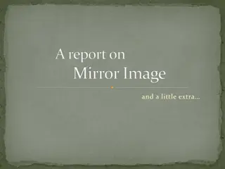 A Report on Mirror Image and a Little Extra