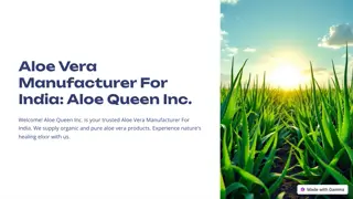 Aloe-Vera-Manufacturer-For-India-Aloe-Queen-Inc