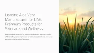 Leading Aloe Vera Manufacturer for UAE: Premium Products for Skincare