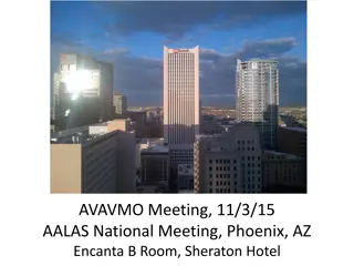AVAVMO Meeting and General Issues Update