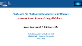 Lessons Learnt from Photonics Pilot Lines: Strategic Focus and Sustainability