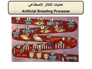 Artificial Breeding Processes in Aquaculture Management