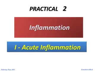 Acute Inflammation Pathogenesis in Images