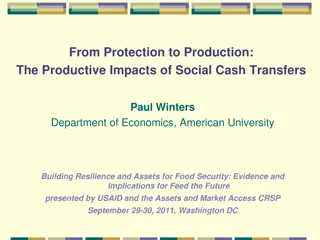 Productive Impacts of Social Cash Transfers