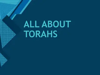 ALL ABOUT TORAHS