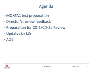 Director's Review and Recommendations for Project Execution