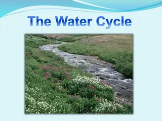 The Water Cycle: Condensation to Collection