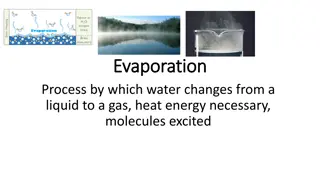 Water Cycle Processes Explained