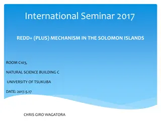 NSDS 1.0 Approach in National Statistics System Management