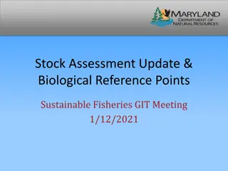 Sustainable Fisheries Stock Assessment Update & Biological Reference Points
