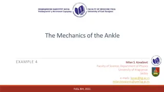 The Mechanics of the Ankle