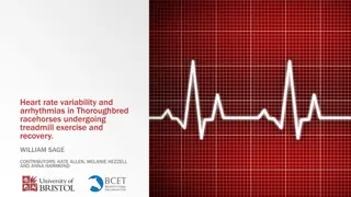 Heart Rate Variability and Arrhythmias in Thoroughbred Racehorses