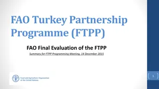 Final Evaluation of the FTPP Programme