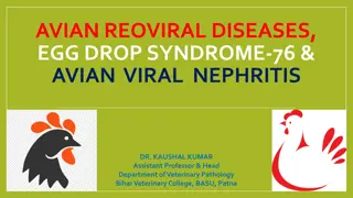 AVIAN REOVIRAL DISEASES