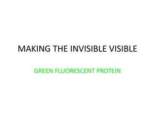 MAKING THE INVISIBLE VISIBLE