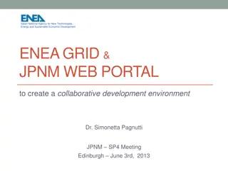 ENEA GRID Infrastructure and Collaborative Development Environment