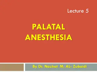 Palatal Anesthesia and Areas Anaesthetized Explanation