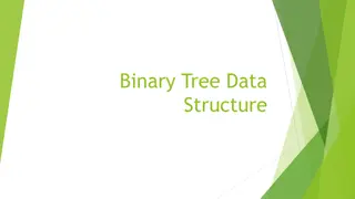 Binary Tree Data Structure