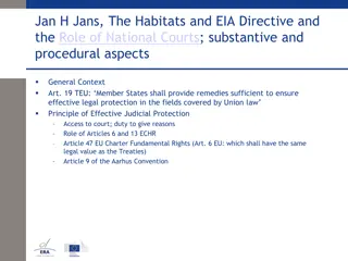 Role of National Courts in EU Law: Judicial Protection and Consistent Interpretation