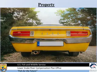 Property