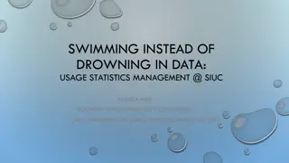 Swimming Instead of Drowning in Data: Usage Statistics Management at SIUC