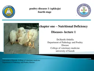 Poultry Nutritional Deficiency Diseases