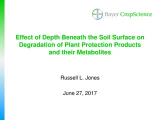 Impact of Soil Depth on Degradation of Plant Protection Products