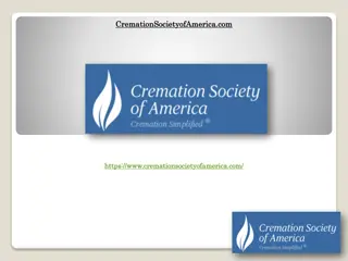 Davie, FL Cremation