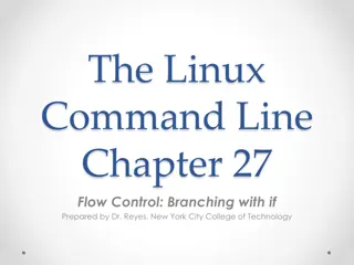 Mastering Branching and Testing in Linux