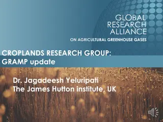 Creating a Vibrant Network for Improved Soil C. & N. Cycling Predictions