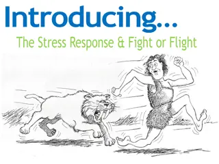 Stress Response and Fight or Flight