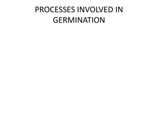 PROCESSES INVOLVED IN  GERMINATION
