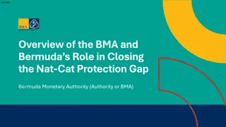 Overview of Bermuda Monetary Authority and Nat-Cat Protection Gap