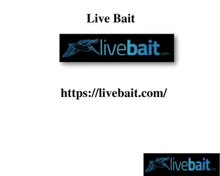 Best Casting Net, livebait