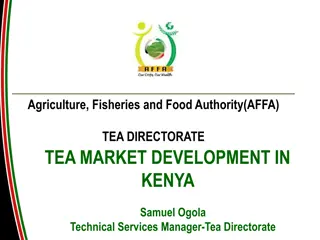 TEA MARKET DEVELOPMENT IN  KENYA