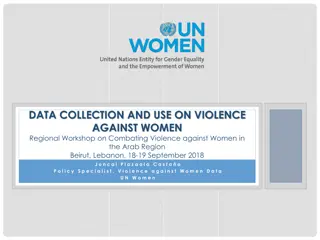Data Collection on Violence against Women: Global Indicators and SDG Progress