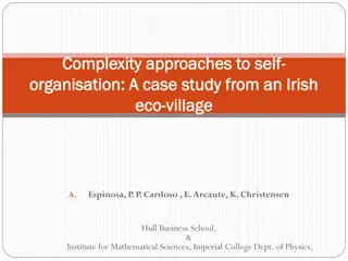 Complexity Approaches to Self-Organization: A Case Study from an Irish Eco-Village