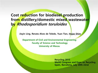 Cost reduction for biodiesel production  from distillery/domestic mixed wastewater  by Rhodosporidium toruloides