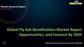 Fly Ash Beneficiation Market Report Opportunities, and Forecast By 2033