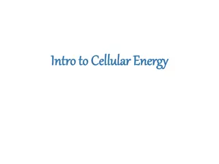 Intro to Cellular Energy and Photosynthesis